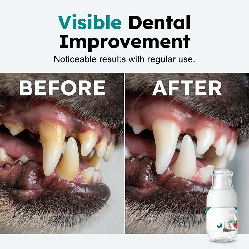 PawPure – No-Brush Pet Dental Care Liquid
