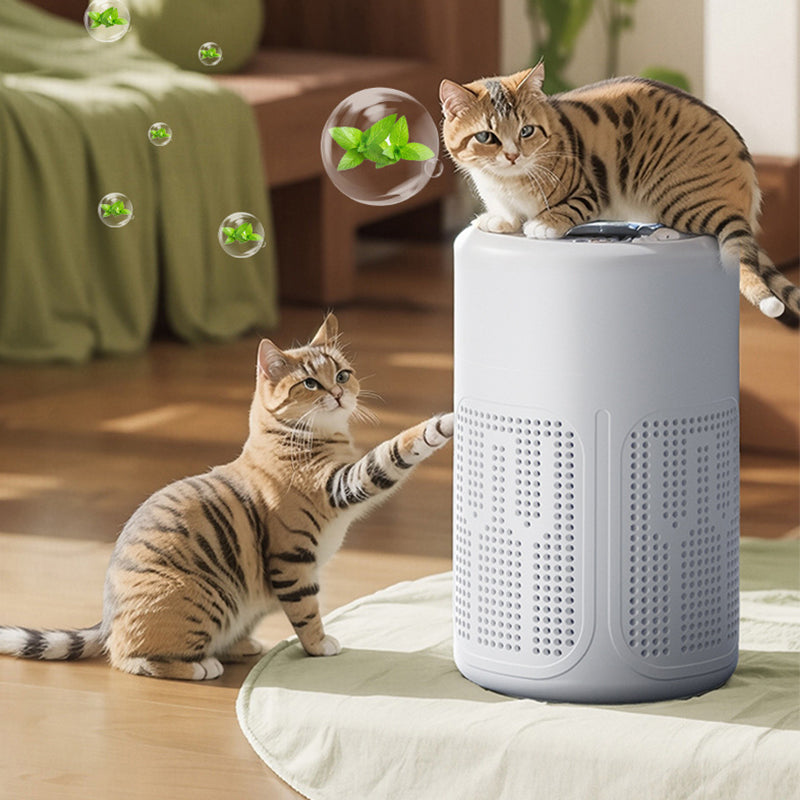 FreshBreeze – Multi-Layer Indoor Air Purifier